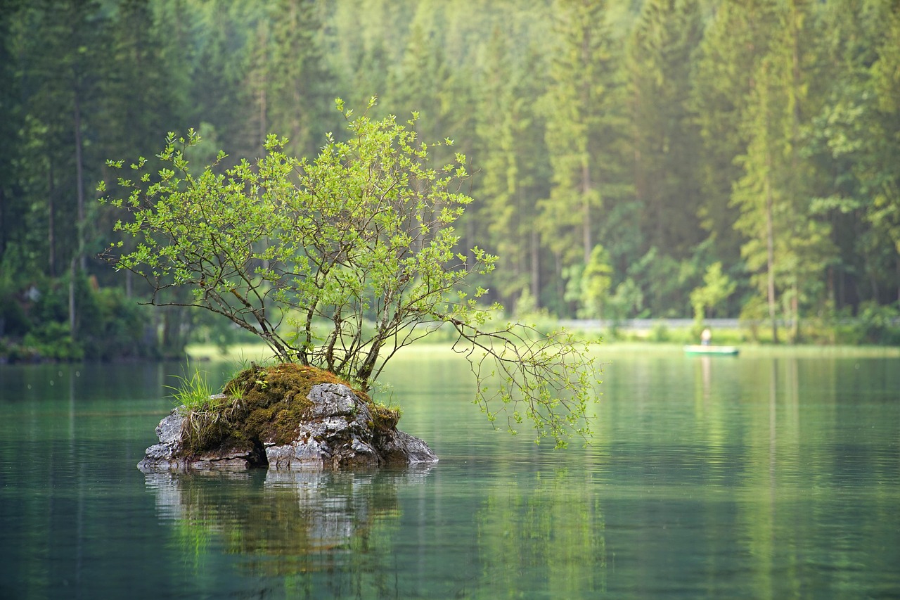 Lake Ouachita in Arkansas, showcasing the state's aquatic environments