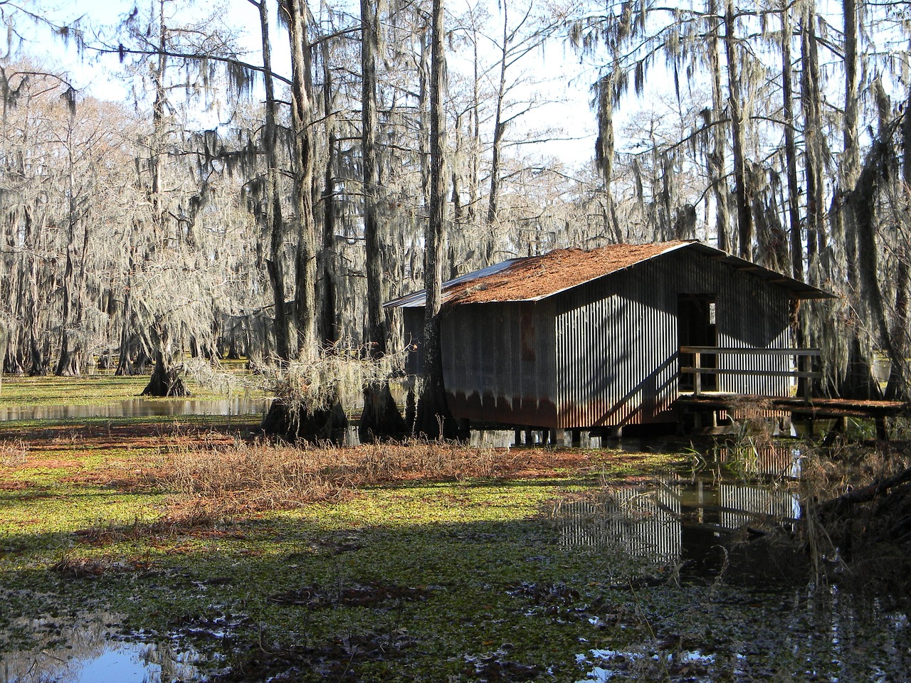 Atchafalaya Basin in Louisiana, showing the state's unique aquatic environment