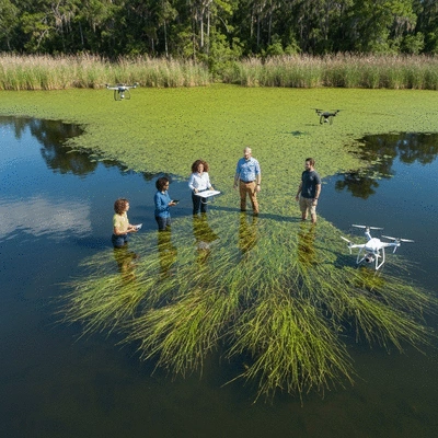Aerial view of a team of environmental scientists using GIS technology to map hydrilla infestation in a clear lake, drones flying overhead, bright daylight, no text, no words, no typography, 8K