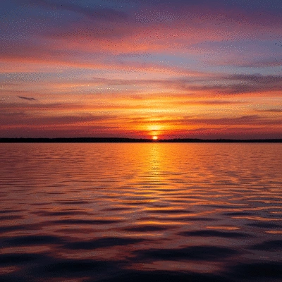 Aquatic biologist collecting water samples from a lake, with hydrilla plants in the foreground
